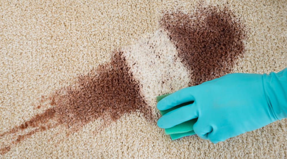 The 5 Worst Carpet Stains and How to Clean Them
