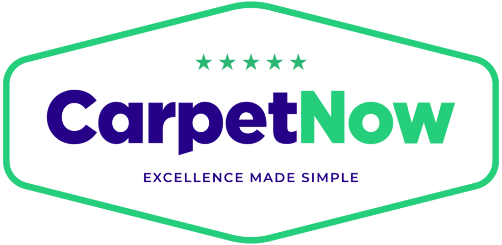 Carpet Now Logo