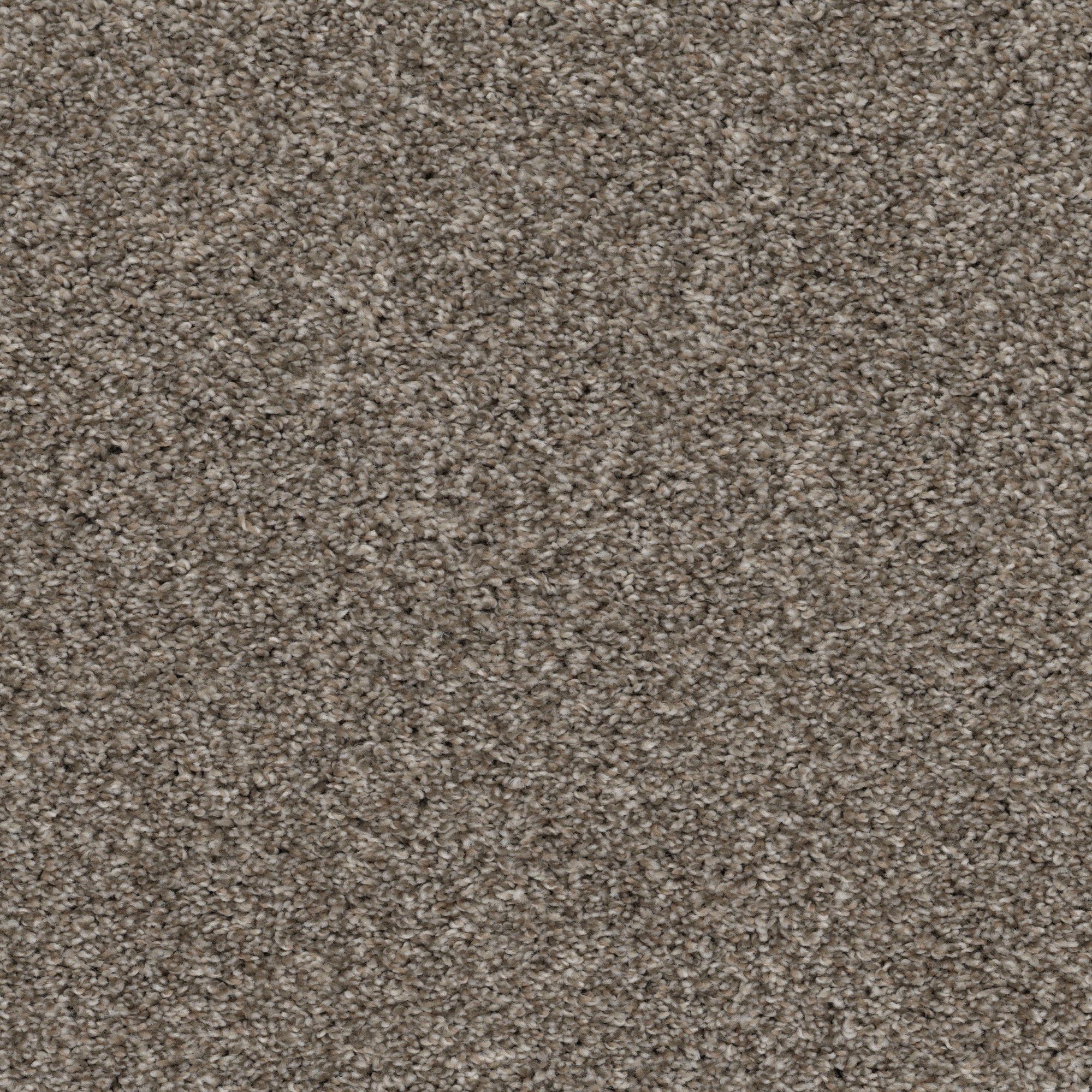 Asheville Carpet
