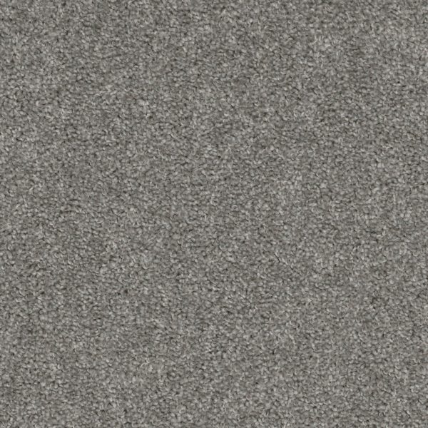 Silver Fox Carpet