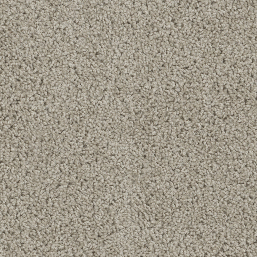 Flax Beige Carpet