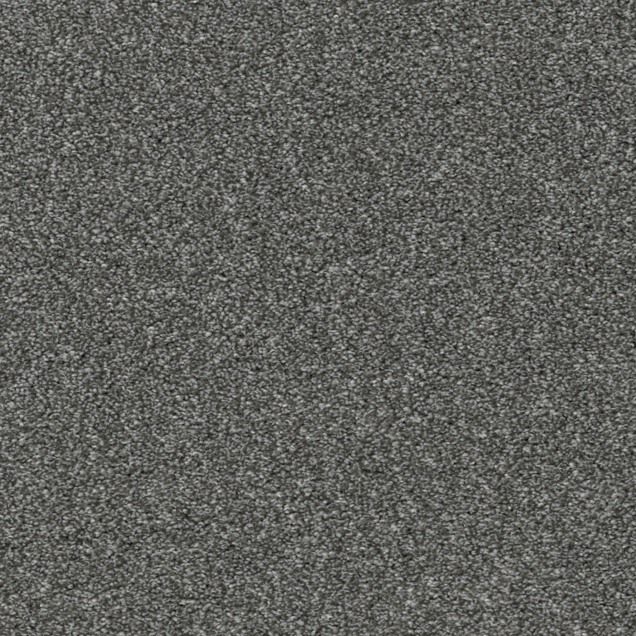 Allure - Iron Frost Carpet