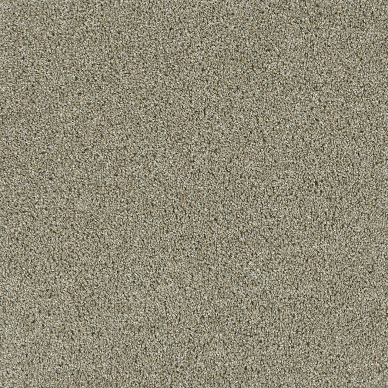 Rhinestone Carpet