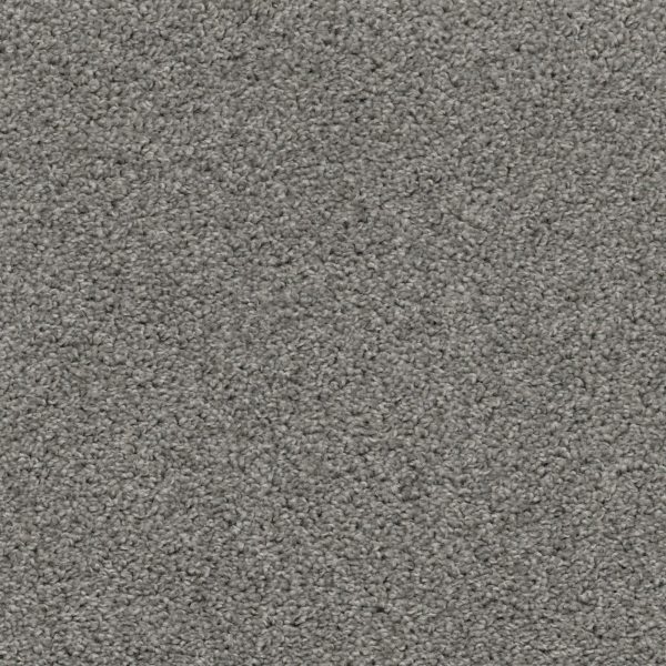Shazam - Anchor Carpet