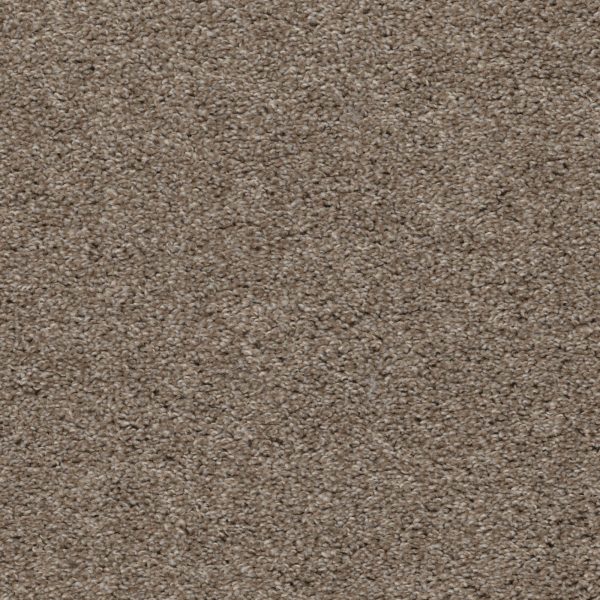 Shazam - Lattice Carpet