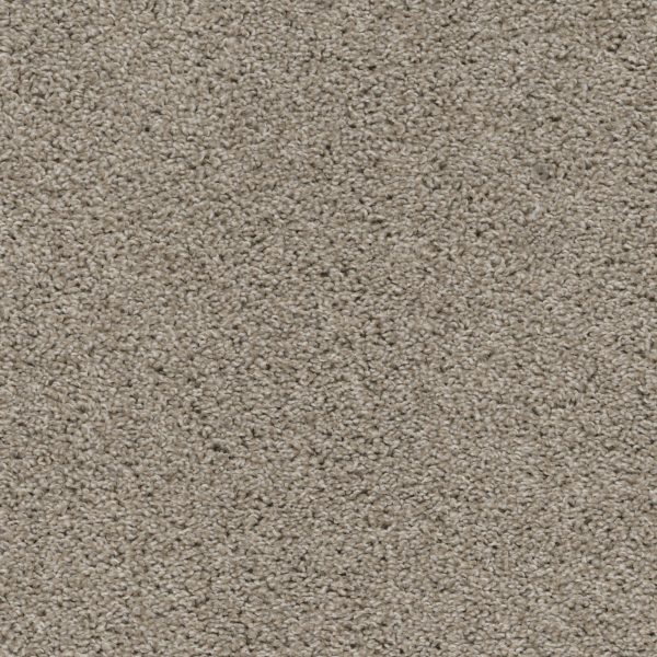 Shazam - Linen Carpet