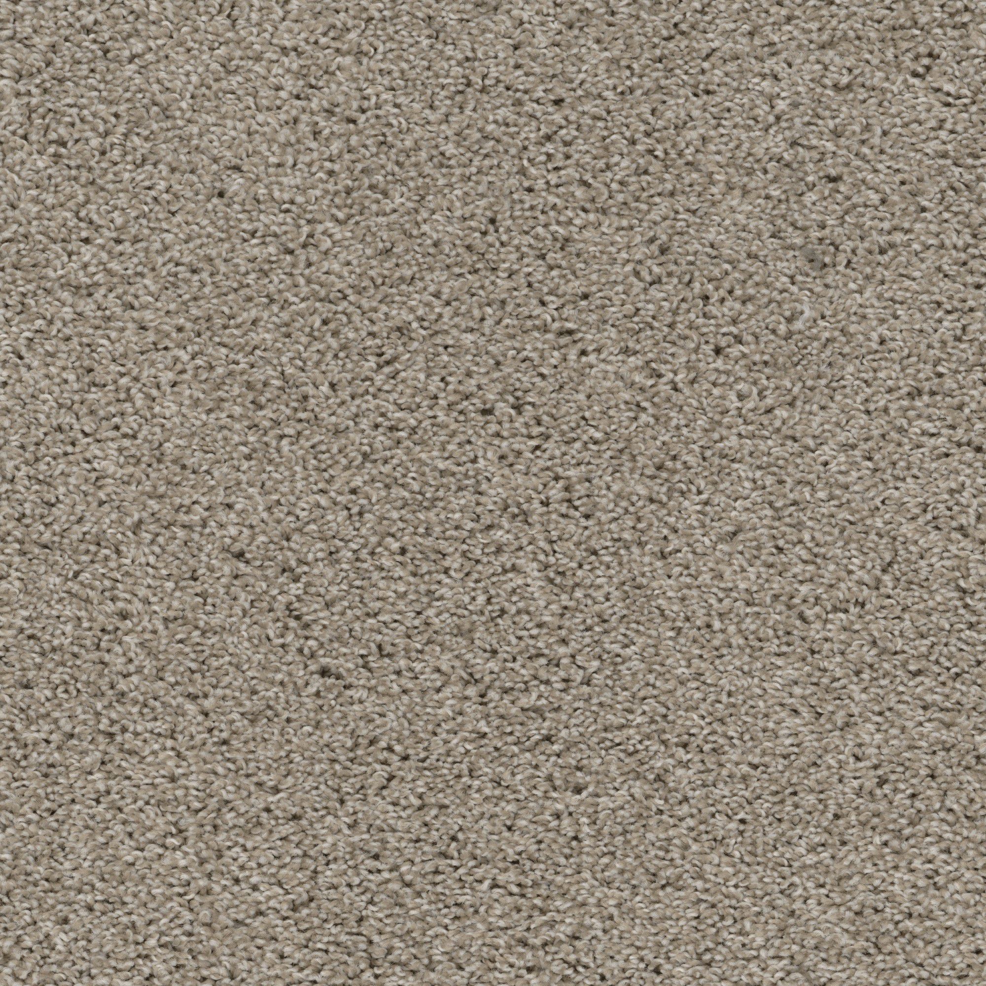 Shazam - Linen Carpet