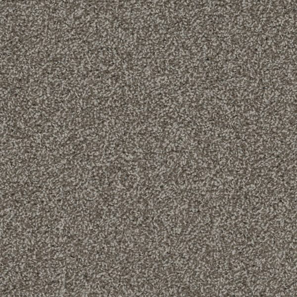 Shazam - Mink Carpet