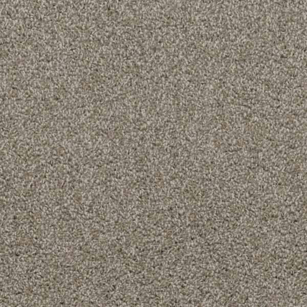 Shazam - Oat Carpet