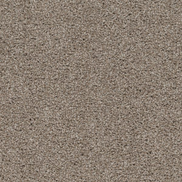 Shazam - Sandpaper Carpet