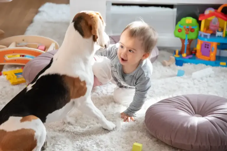 Carpet Replacement Knowing When It's Time for a Fresh Start