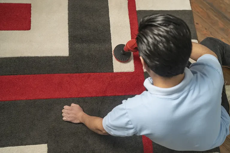 Austin homeowner reviewing carpet warranty