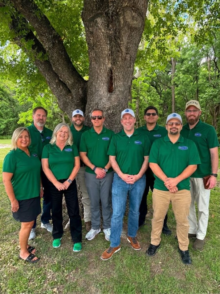 CarpetNow Team