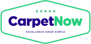 Carpet Now Logo Footer NEW