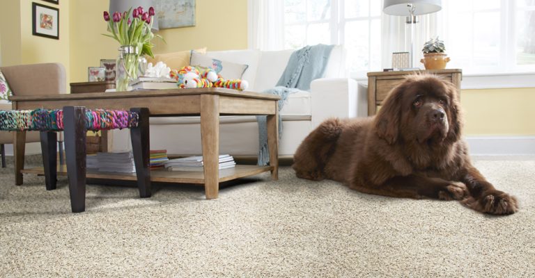 ST138 Beale Street 5 Flax Seed